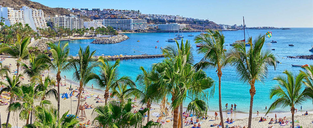 Beach in Gran Canaria with palm trees.